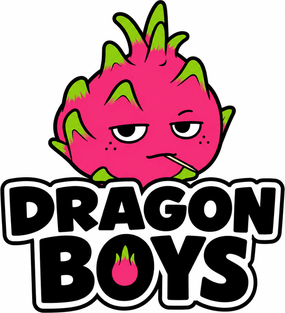 DragonBoy