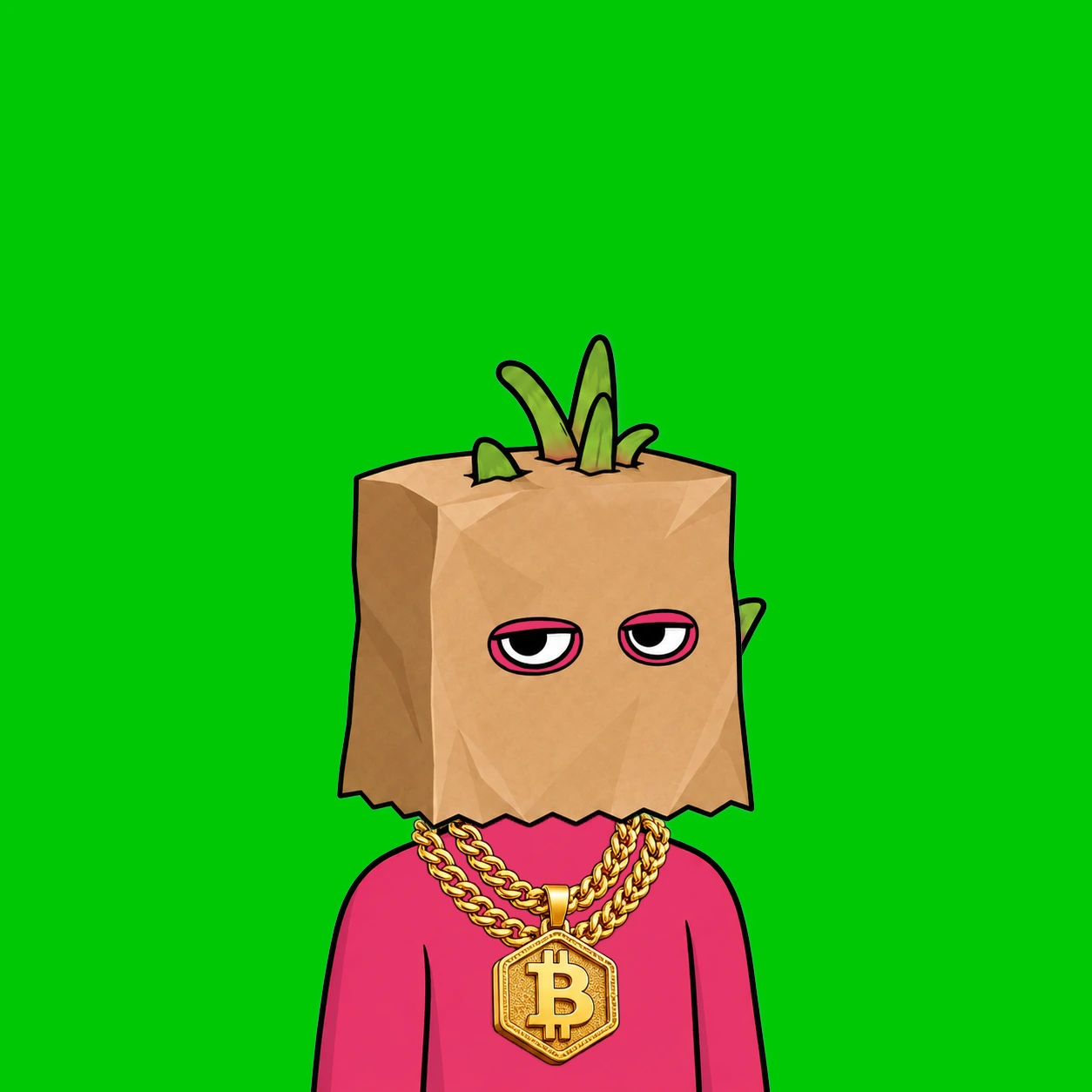 Robinhood Dragon Boy #123