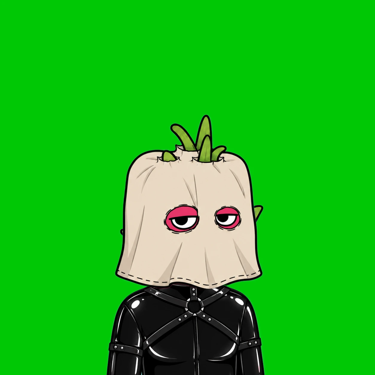 Robinhood Dragon Boy #435